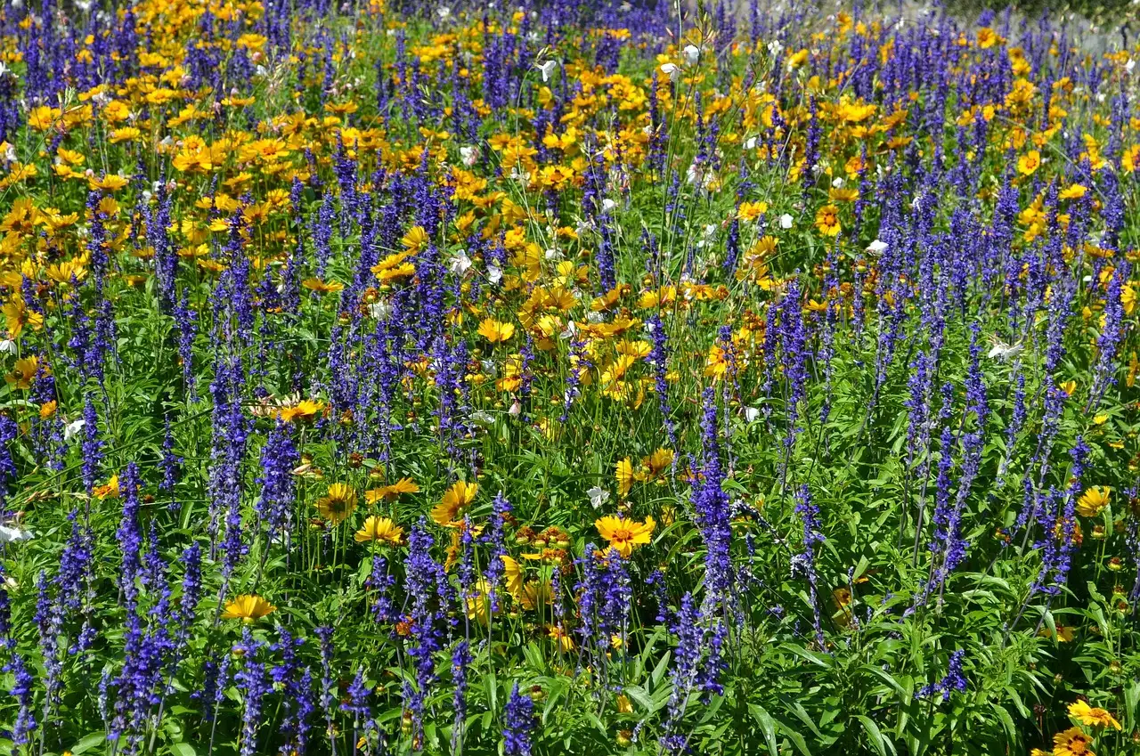 Nachhaltig Blumen verschicken: So geht’s umweltfreundlich