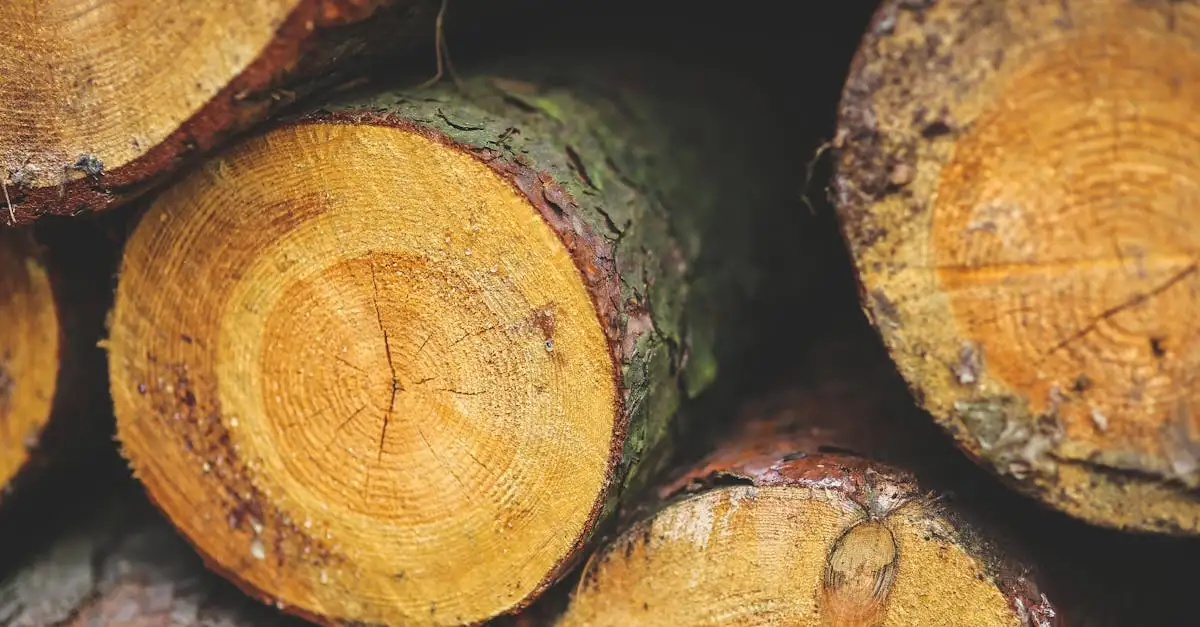 Nachhaltiges Holz: Umweltbewusst Bauen und Wohnen