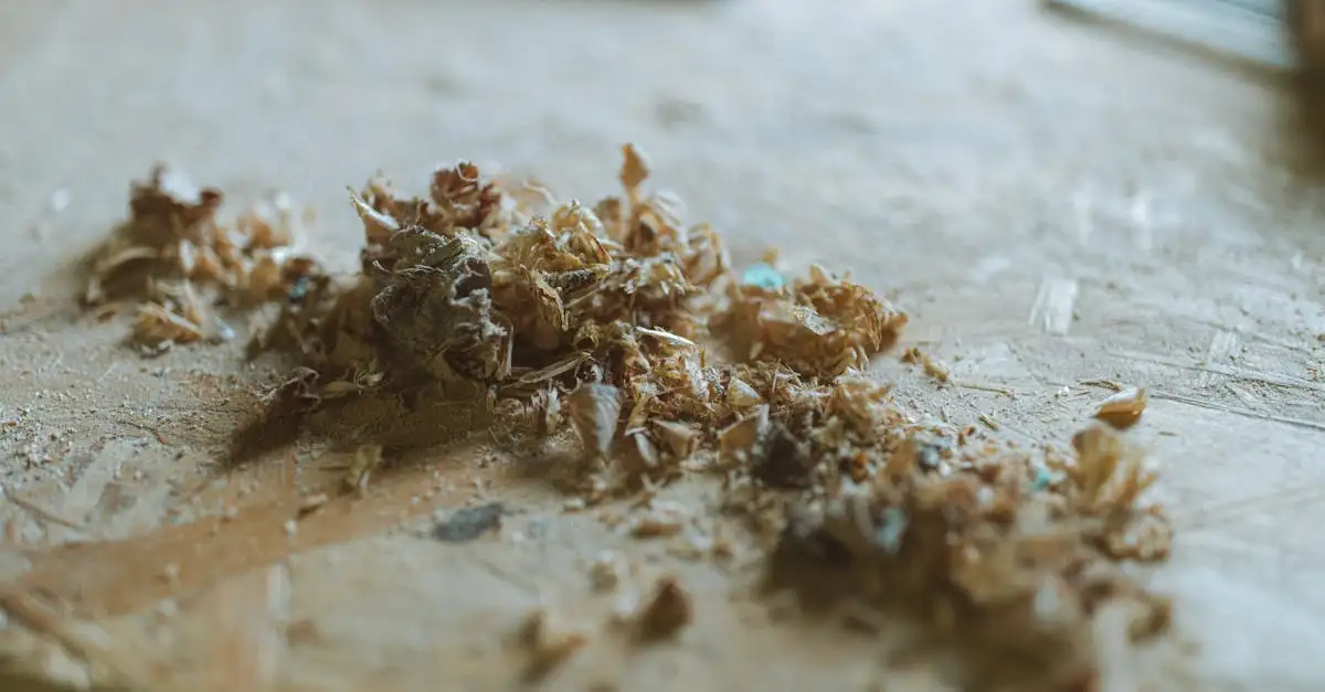 Nachhaltige Holzmöbel: Qualität und Umweltbewusstsein