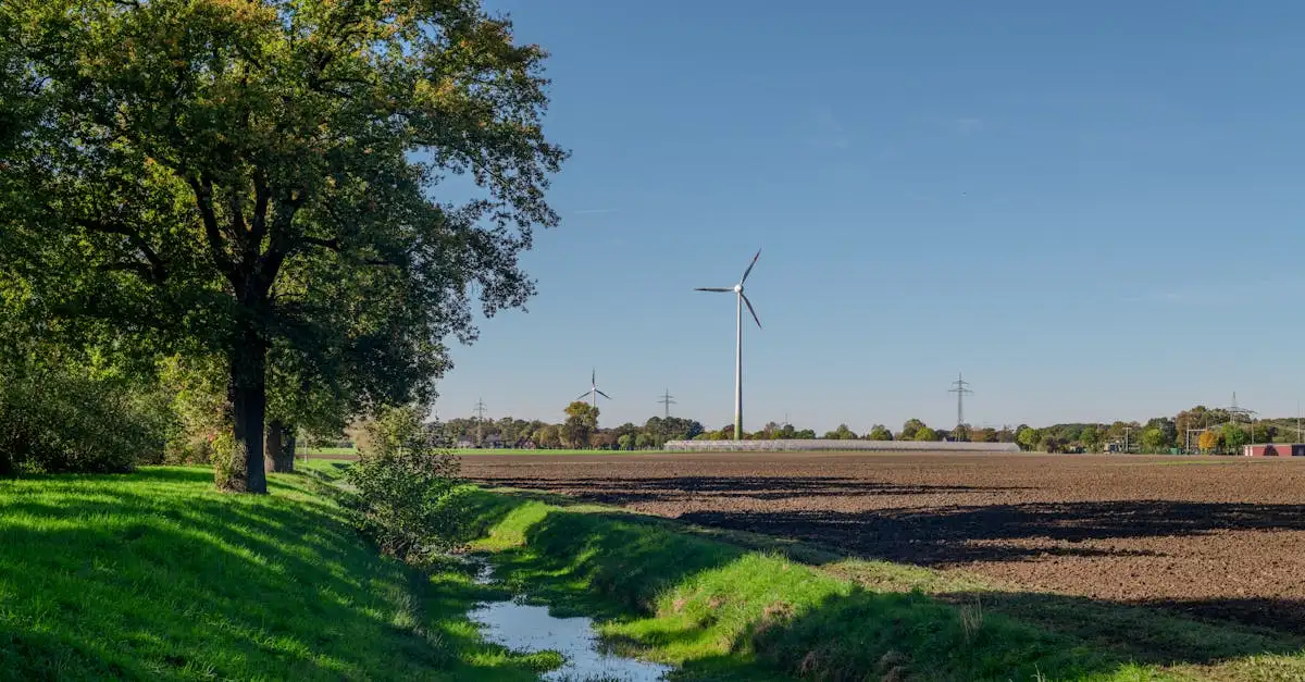 Nachhaltige Landwirtschaft in Deutschland: Trends & Fakten