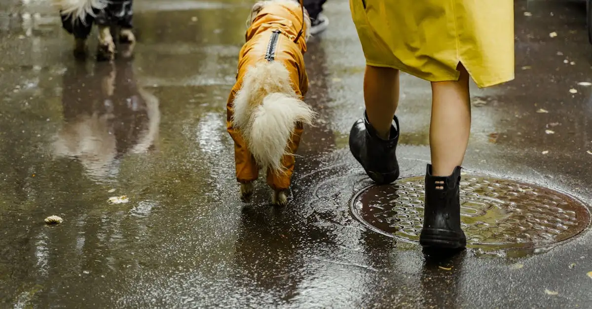 Nachhaltige Regenjacken für Herren: Umweltfreundlich &