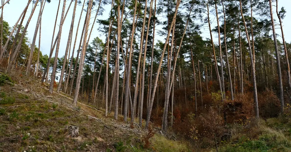Nachhaltige wanderkleidung