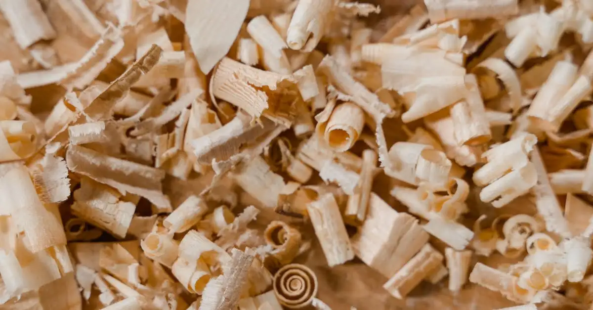 Holz nachhaltiger baustoff
