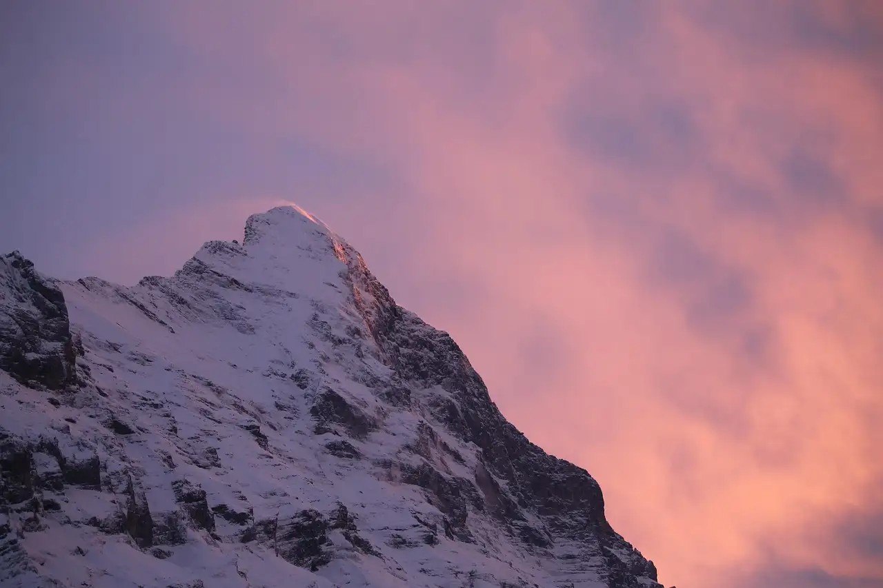 The North Face Nachhaltigkeit: Umweltfreundliche