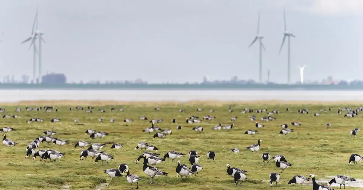 Nachhaltige Outdoor Marken: Umweltfreundliche Ausrüstung