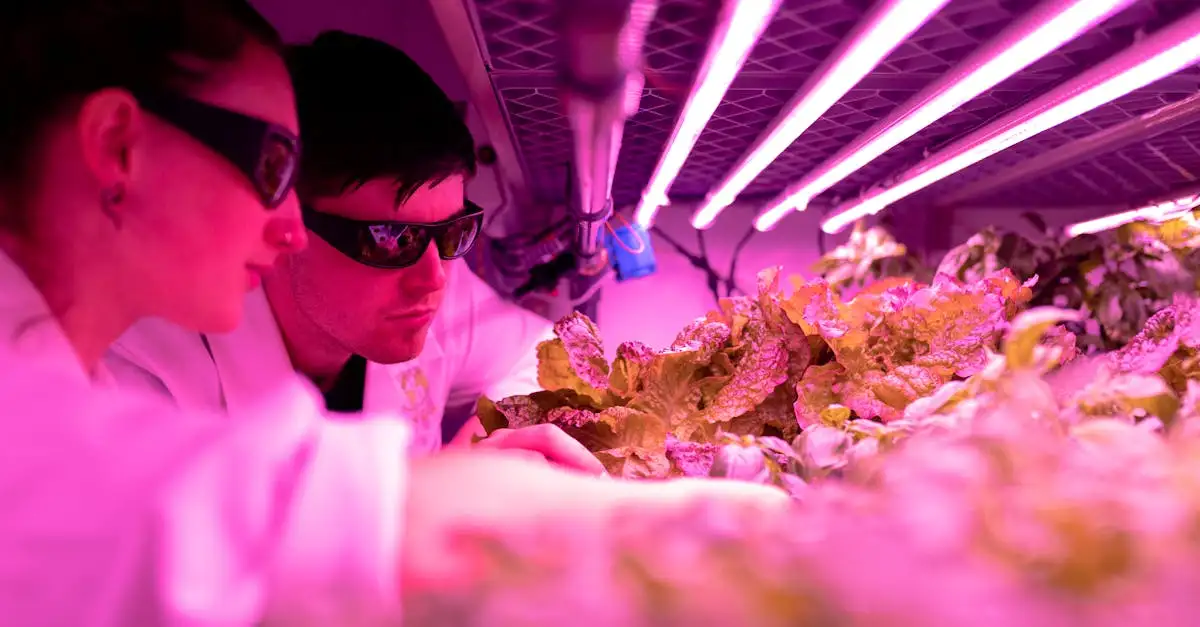 Studiengang Nachhaltige Entwicklung: Studium & Karriere
